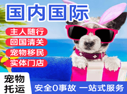 海拉尔空运地址国际宠物托运 【国